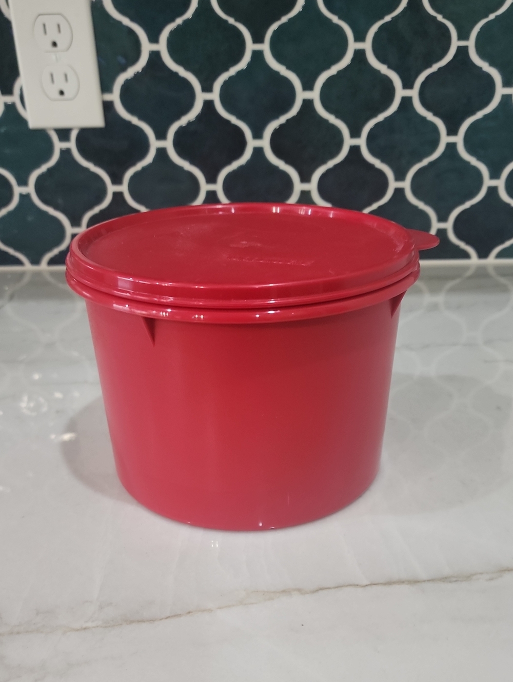 EUC Tupperware Stor All Container